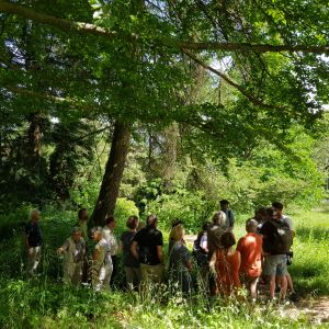 Baumfreunde zur Ausstellungseröffnung im Botanischen Garten in Schellerhau