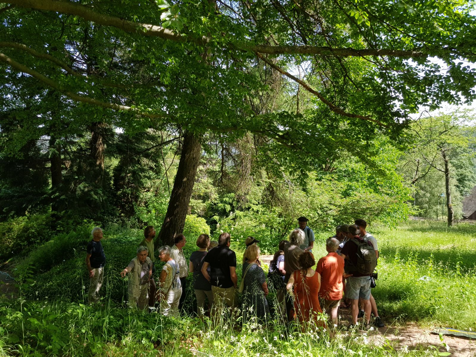 Baumfreunde zur Ausstellungseröffnung im Botanischen Garten in Schellerhau